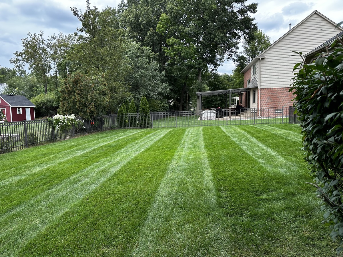 Lawn 5