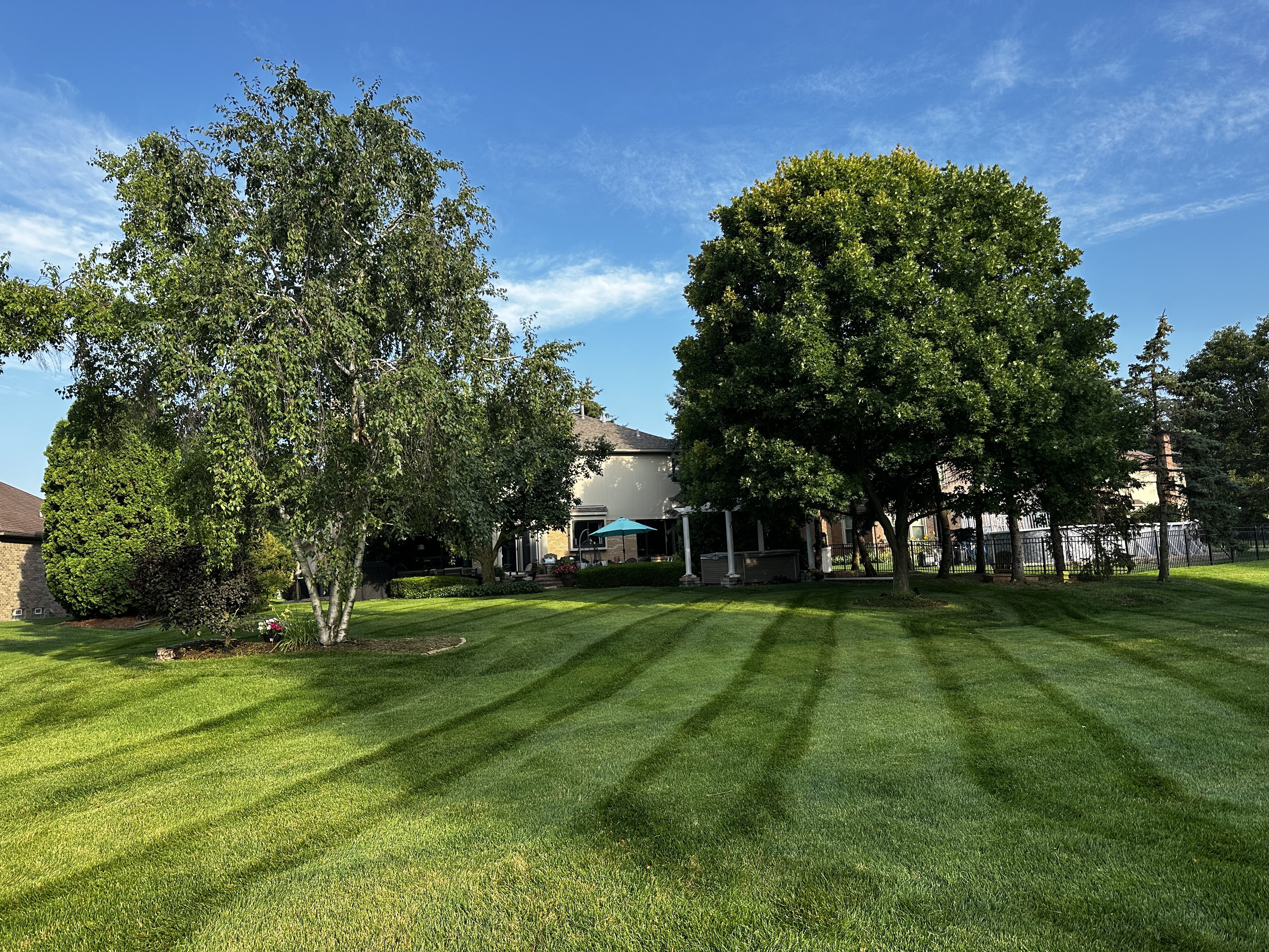 Freshly mowed yard with stripes