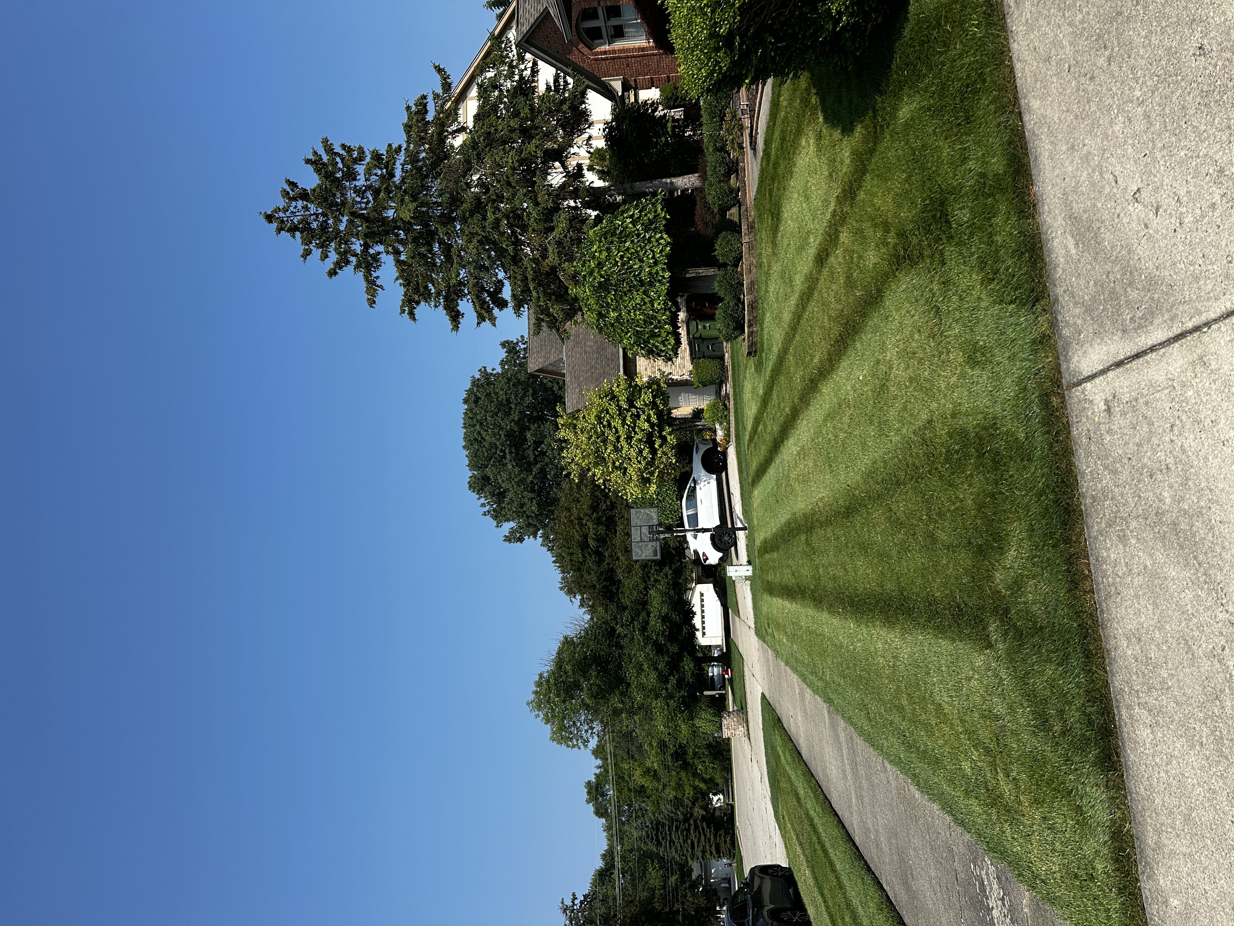 Freshly mowed lawn